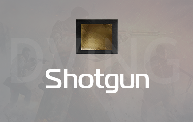 Any Shotgun Gold Camo Unlock