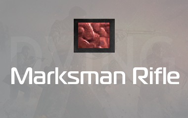 Any Marksman Rifle Golden Viper Camo Unlock