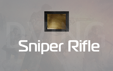 Any Sniper Rifle Gold Camo Unlock