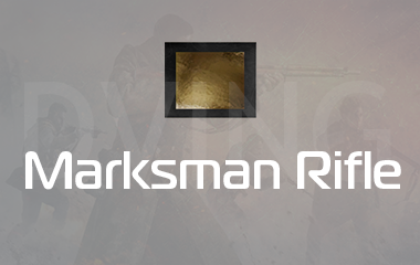 Any Marksman Rifle Gold Camo Unlock